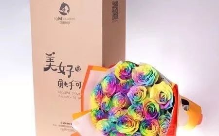 顺义冰雪世界 集购物 美食 亲子游于一体