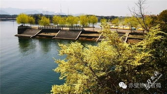 陆水湖 一首四季循环的歌