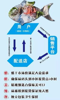 想直接去水产码头的船上撩鱼吃吗