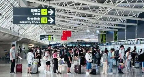 民航联盟 今年飞哪里的人最多 盘点最热国内航线