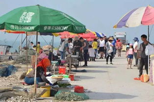 仅剩1天 全民等开海 青岛 第一渔 啥时能吃 看解答