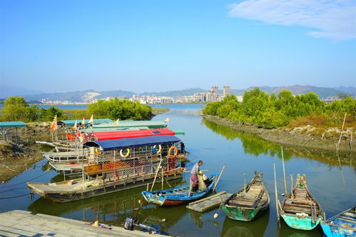 2017年广东社保联网又近了,证书挂靠会受影响吗 http news.fengpintech.com ueditor php upload image 20170316 1489629589861886.png 保定市建筑科技教育中心