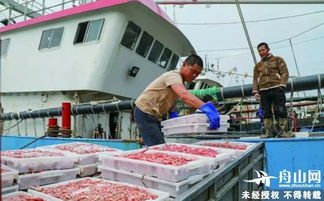 皮皮虾再见 这8种海鲜不能卖了