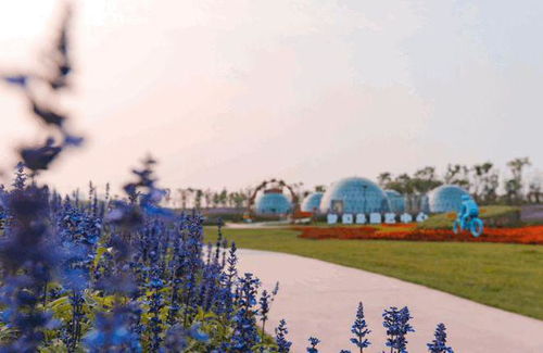 绿地长岛 安逸祥和的旅居大城