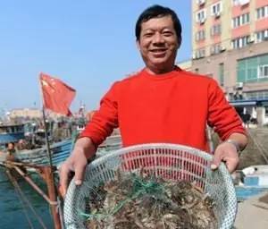 山东青岛 海捕大虾抓紧吃,再过19天休渔了,各种码头 海鲜市场等你来
