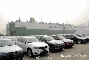 滚装码头公司 单月商品车作业量再破9万