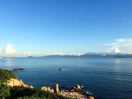 广东一处不要门票的岛屿,主峰海拔311.8米,夏无酷暑,四季如春