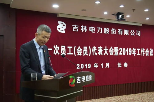 迈向建设国内一流清洁能源上市公司新征程 吉电股份召开四届一次员工 会员 代表大会暨2019年工作会议