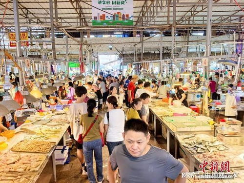 广东台山开渔后游客如织 争先选购心仪海产品