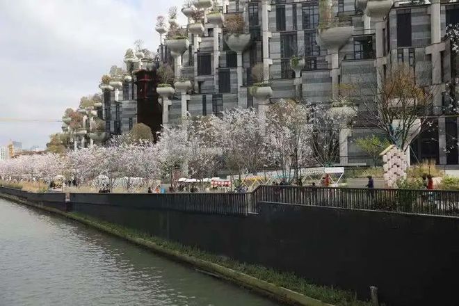 近30家首店、魔都唯一山型购物中心,天安千树正式开业!
