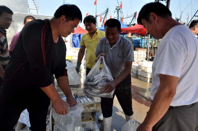 开海迈入倒计时,走进昔日青岛渔港码头,带你认识本地特产海鲜