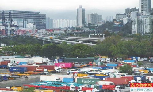 香港一季度gdp预估增长3.1