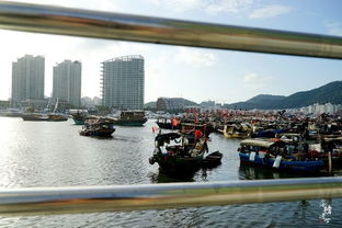 三亚四季码头 穿越时光的渔民生活图景