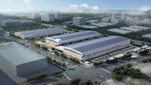 山东港口物流集团揭牌四周年 四季码头亮出高质量发展成绩单