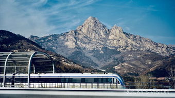 我的青岛正青春 一个青岛人朋友圈里的青岛四季·上——四季码头