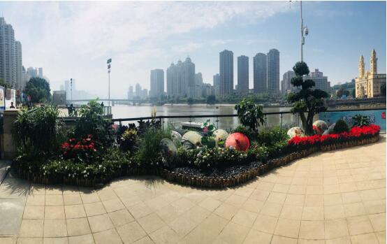 喜迎数字峰会，百米花街扮靓闽江游四季码头