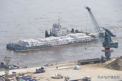 4月14日豆粕市场观察 港口报价涨跌互现，供应趋紧预期升温