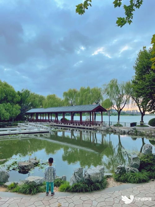 三颗明珠扮靓武汉东西湖，市民尽享‘身边绿’与‘四季花’